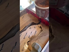 Sáng tỏa sáng trong nhựa đổ sâu